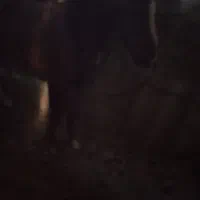 کره کرند مادیون معاوضه کری سهیل مریخ|اسب و تجهیزات اسبسواری|اصفهان, رهنان|دیوار