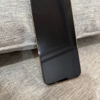 اپل ۱۳ پرومکس