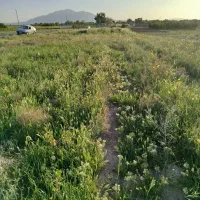 زمین-کشاورزی-کنارجاده-چسبیده-به-بافت