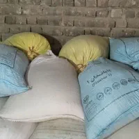 گندم