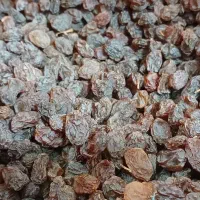 کشمش بی دانه آفتابی ی دست پاک شده پاستیلی