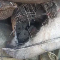 زغال فشرده مخصوص کباب