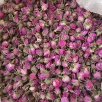 فروش عمده غنچه گل محمدی داراب فارس