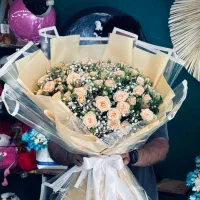 گل رز|گل و گیاه طبیعی|مشهد, کارده|دیوار