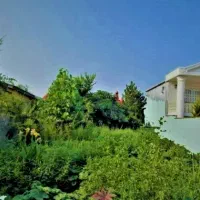 زمین-جنگلی-خوش-قواره-دیوارکشی-آماده-ساخت