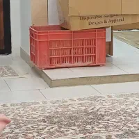 سبد
