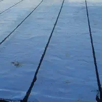 ایزوگام دلیجان (تیکه کاری)و کلی حتی۱مترتمام نقاط|خدمات پیشه و مهارت|تهران, مهران (سیدخندان)|دیوار