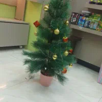 درخت کریسمس