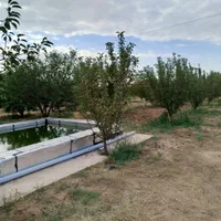 باغ به متراژ ۲۰۰۰متر در شربیان|فروش خانه و ویلا|مهربان, |دیوار