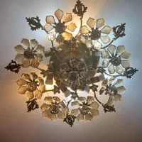 لوستر پذیرایی