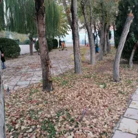 مغازه اجاره