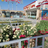 کارگر تنظیف وکارگرباریستا