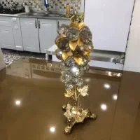 انگور تزیینی