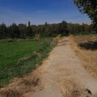 باغ سیب وهلودرجهان آباد|فروش زمین و ملک کلنگی|نهاوند, |دیوار