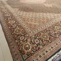 تک ۹متری ریزماهی تبریز