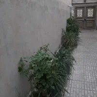 اجاره واحد ۷۰ متری|اجارهٔ آپارتمان|تهران, اتحاد|دیوار