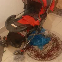 کالسکه بجه در شهرضا