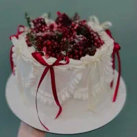 سفارش انواع کیک خونگی و سفارش ژله برای یلدا و..