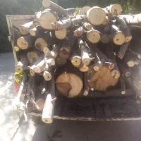 خرید چوب و درخت|خدمات باغبانی و درختکاری|نهاوند, |دیوار