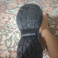 کفش نو|کیف، کفش، کمربند|شیراز, لشکری‎|دیوار