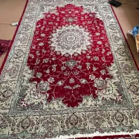 فرش|فرش|بندر انزلی, آذربایجان|دیوار