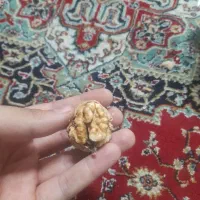 گردو|خوردنی و آشامیدنی|اصفهان, بوزان|دیوار