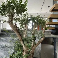 عمارت فوق مدرن نماانگلیسی درمجتمع پرایوت جنگلی|فروش خانه و ویلا|رویان, |دیوار