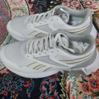 صندل و کتانی|کیف، کفش، کمربند|قم, زاویه|دیوار