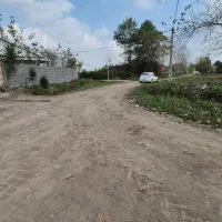 زمین جنگلی با نامه بنیاد مسکن|فروش زمین و ملک کلنگی|رشت, بازار|دیوار