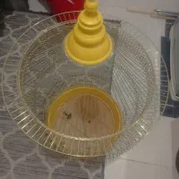 قفس پرنده|لوازم جانبی حیوانات|مشهد, نوید|دیوار