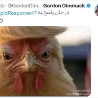 حیوان خانگی