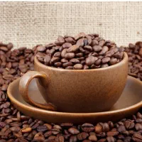 پخش دان قهوه