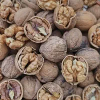 خشکبار گردو.بادام|خوردنی و آشامیدنی|شیراز, آزادی|دیوار