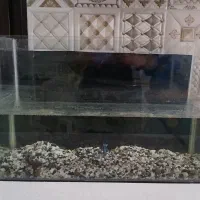 اکواریوم نو