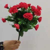 بوته میخک|گل مصنوعی|اهواز, شهرک دانشگاه|دیوار