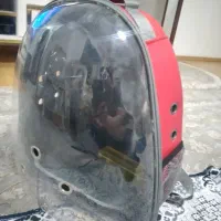 کیف حمل پرنده