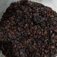 بی دونه آفتابی بدونه هسته