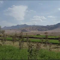 باغ ۵۰۰۰ متری با ۴۵ دقیقه آب قبل از روستای عسگریه