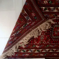 قالی دست باف|فرش|مشهد, کوی دروی|دیوار