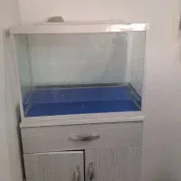 اکواریوم.تمیز