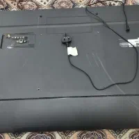 تلویزیون|تلویزیون و پروژکتور|بوشهر, |دیوار