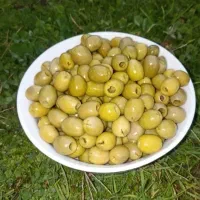 زیتون بدون هسته ارده آبلیمو گلاب آبغوره سرکه