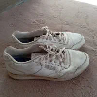 کفش مردانه|کیف، کفش، کمربند|تایباد, |دیوار