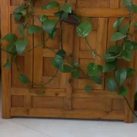 عتیقه