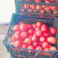 رب درج یک|خوردنی و آشامیدنی|قروه, |دیوار