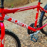 دوچرخه|دوچرخه، اسکیت، اسکوتر|گنبد کاووس, |دیوار