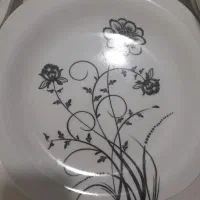 استکان کریستال با ظروف ملامین