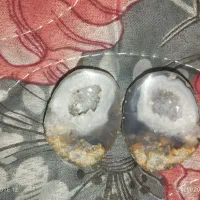 سنگ شجر|جواهرات|پرند, فاز ۴|دیوار