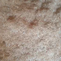 فروش کاه‌کوب‌درجه یک‌تمیز داخل گونی آماده بار‌کیری