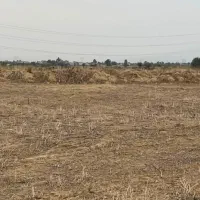 املاک زمین زراعی|فروش دفتر صنعتی، کشاورزی، تجاری|مینودشت, |دیوار